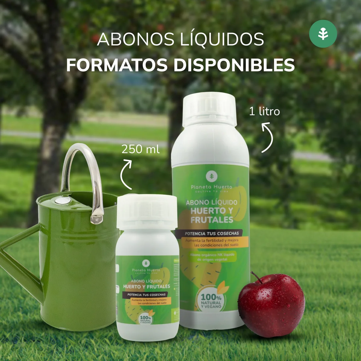 Imagem do produto 5