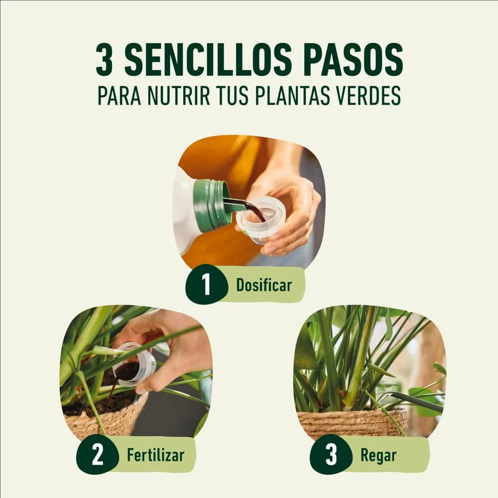 Imagem do produto 4
