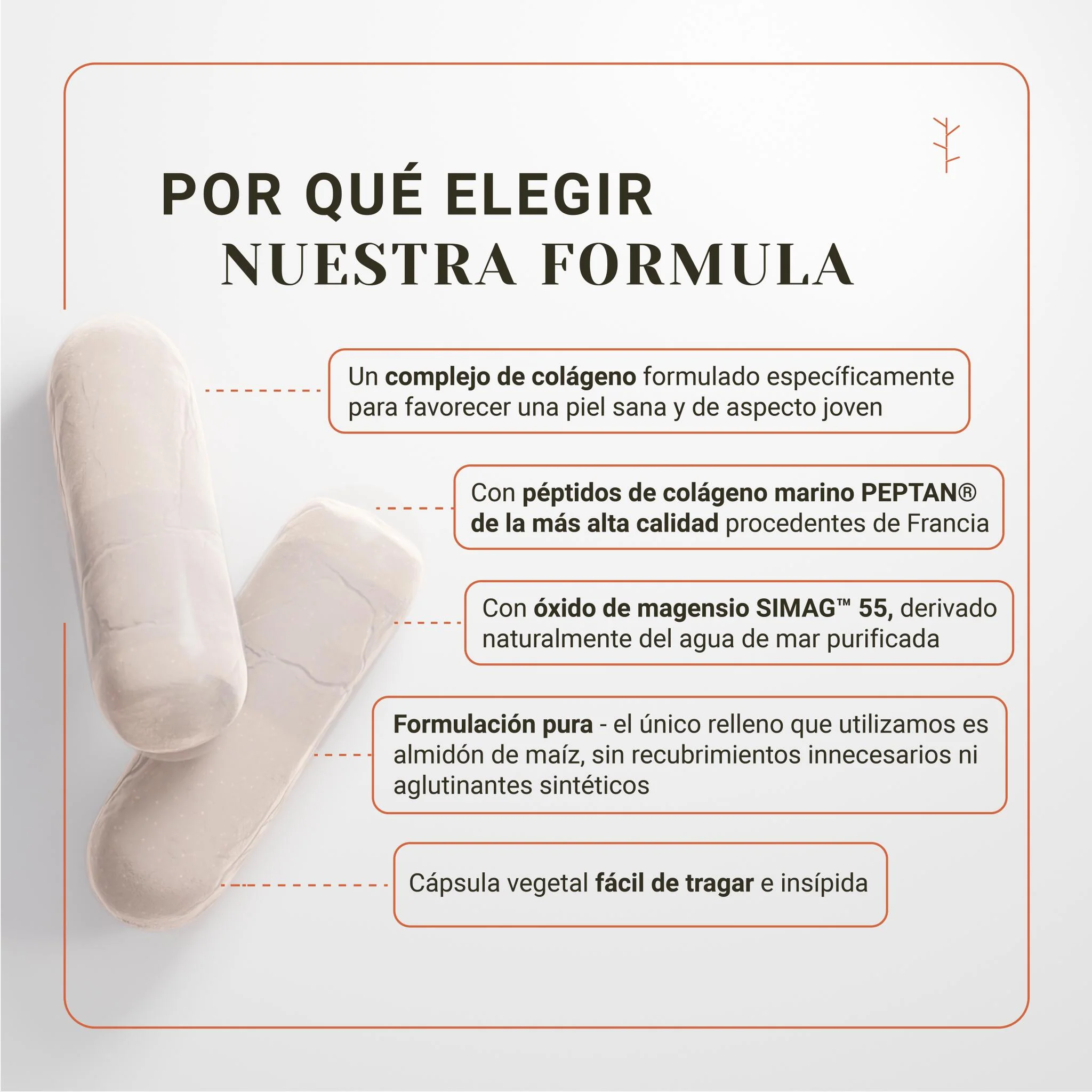 Imagem do produto 3