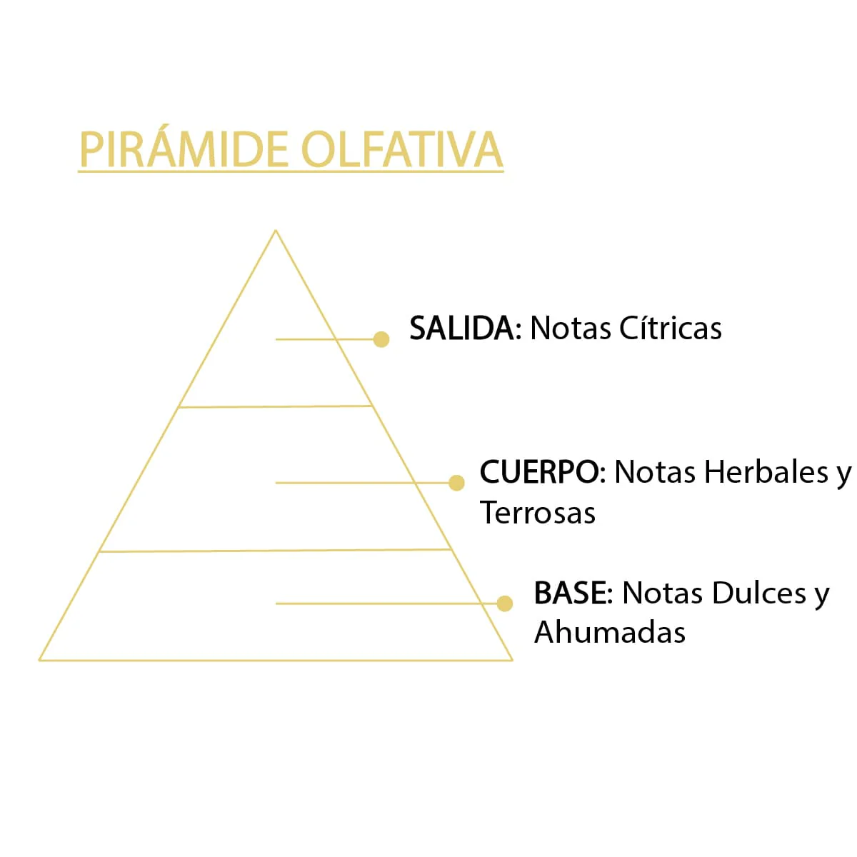 Imagem do produto 5