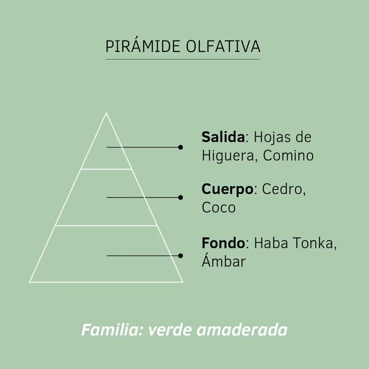Imagem do produto 2