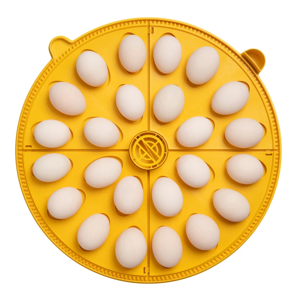 Imagem do produto 6