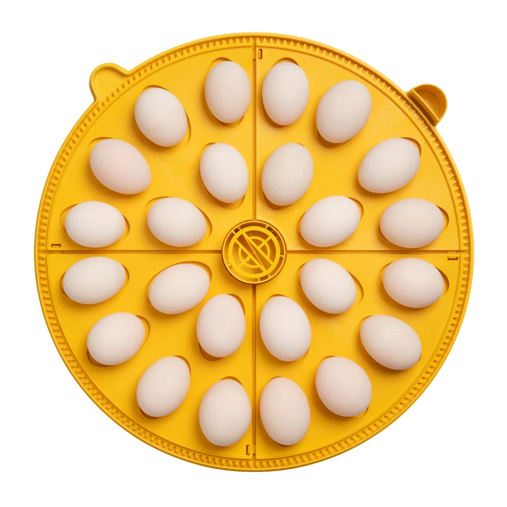 Imagem do produto 5