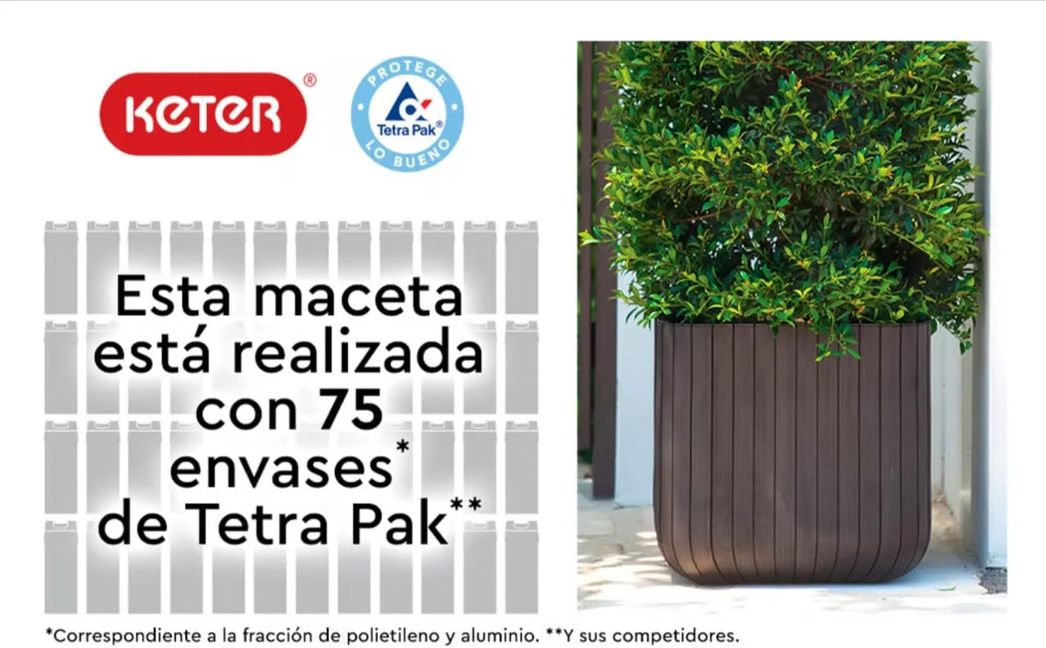 Imagem do produto 5