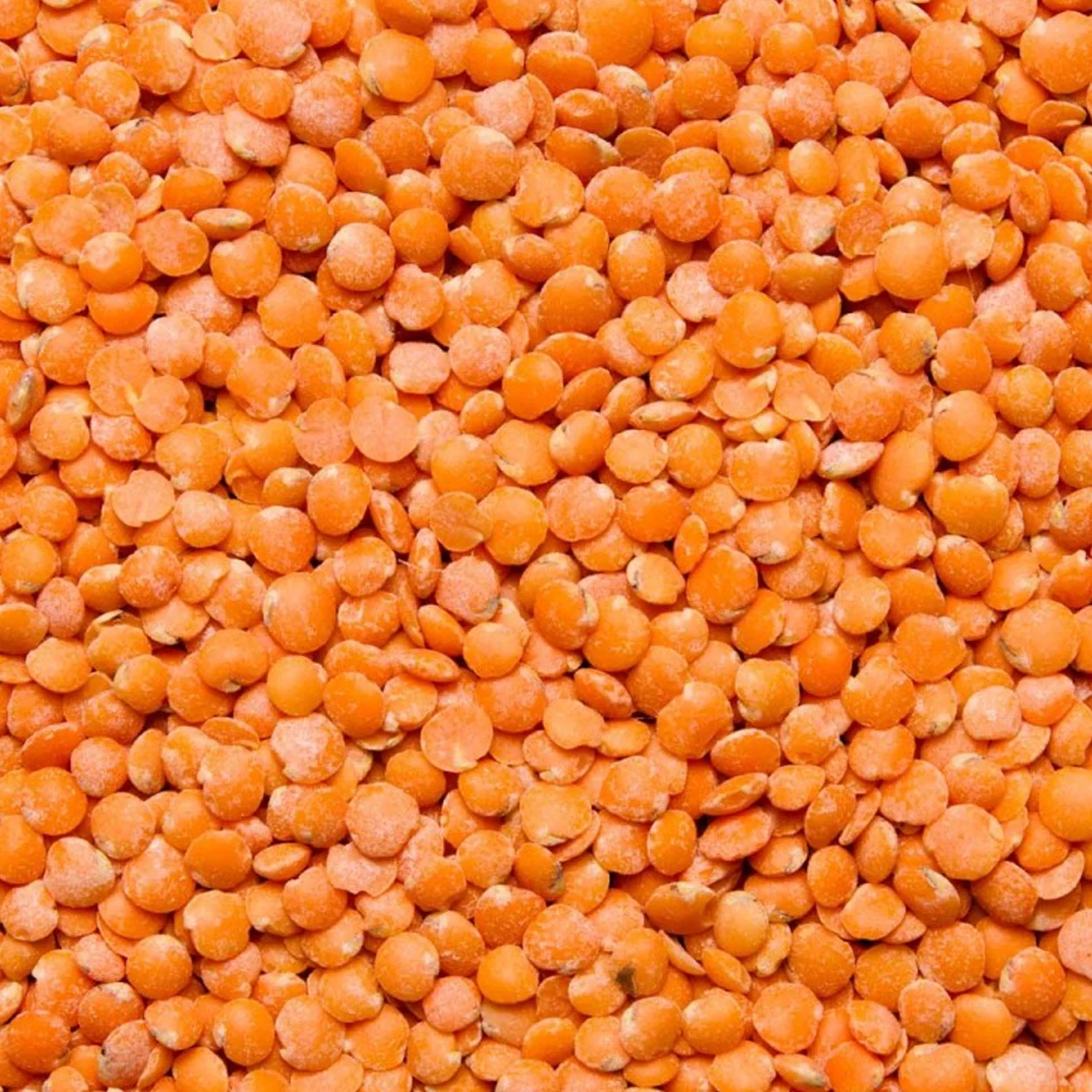 Imagem do produto 3
