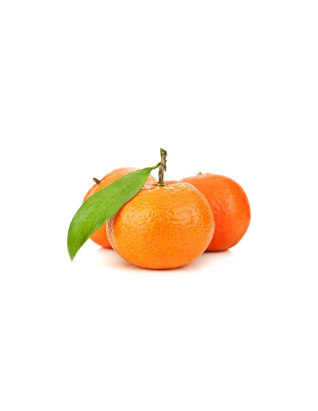 Imagem do produto 1