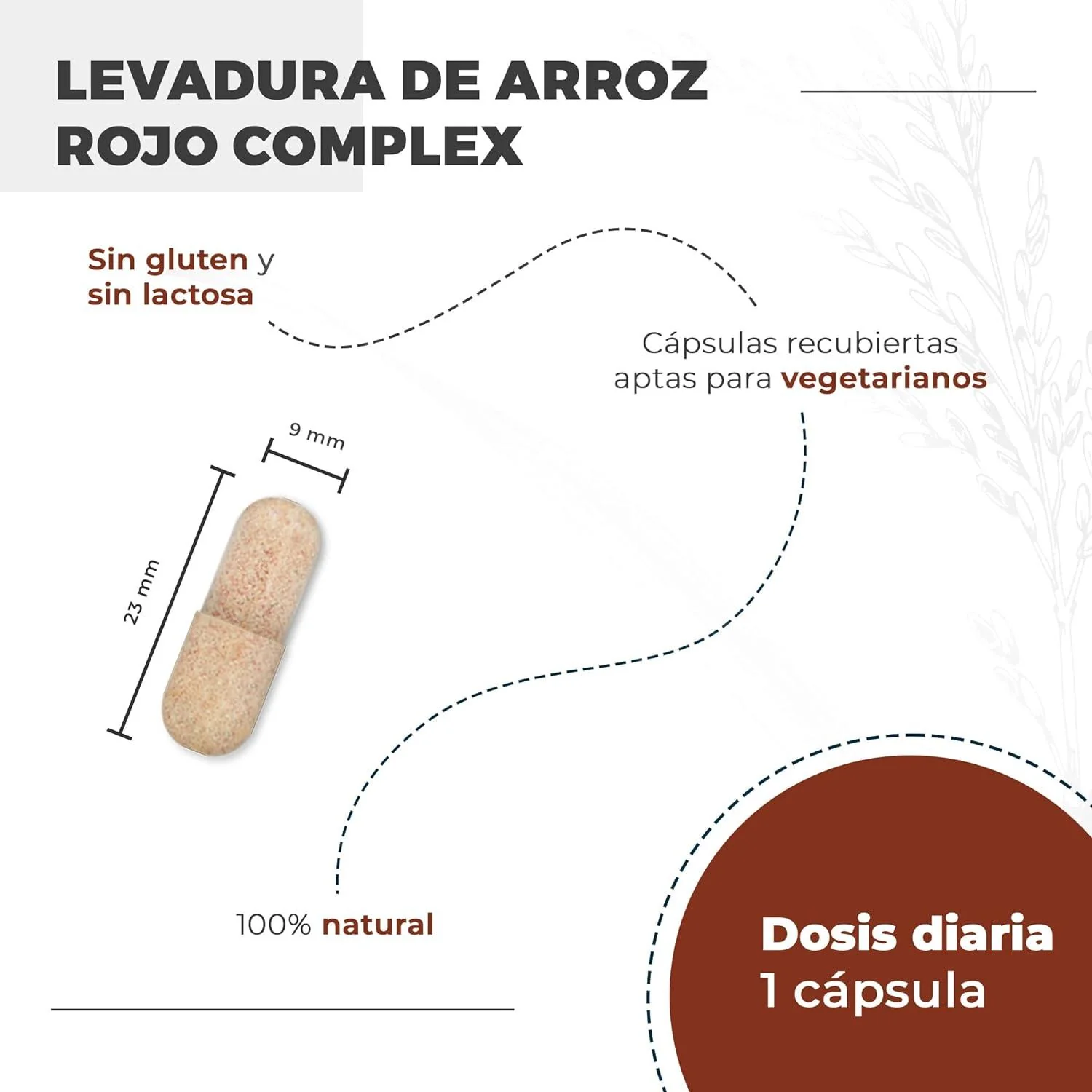 Imagem do produto 4
