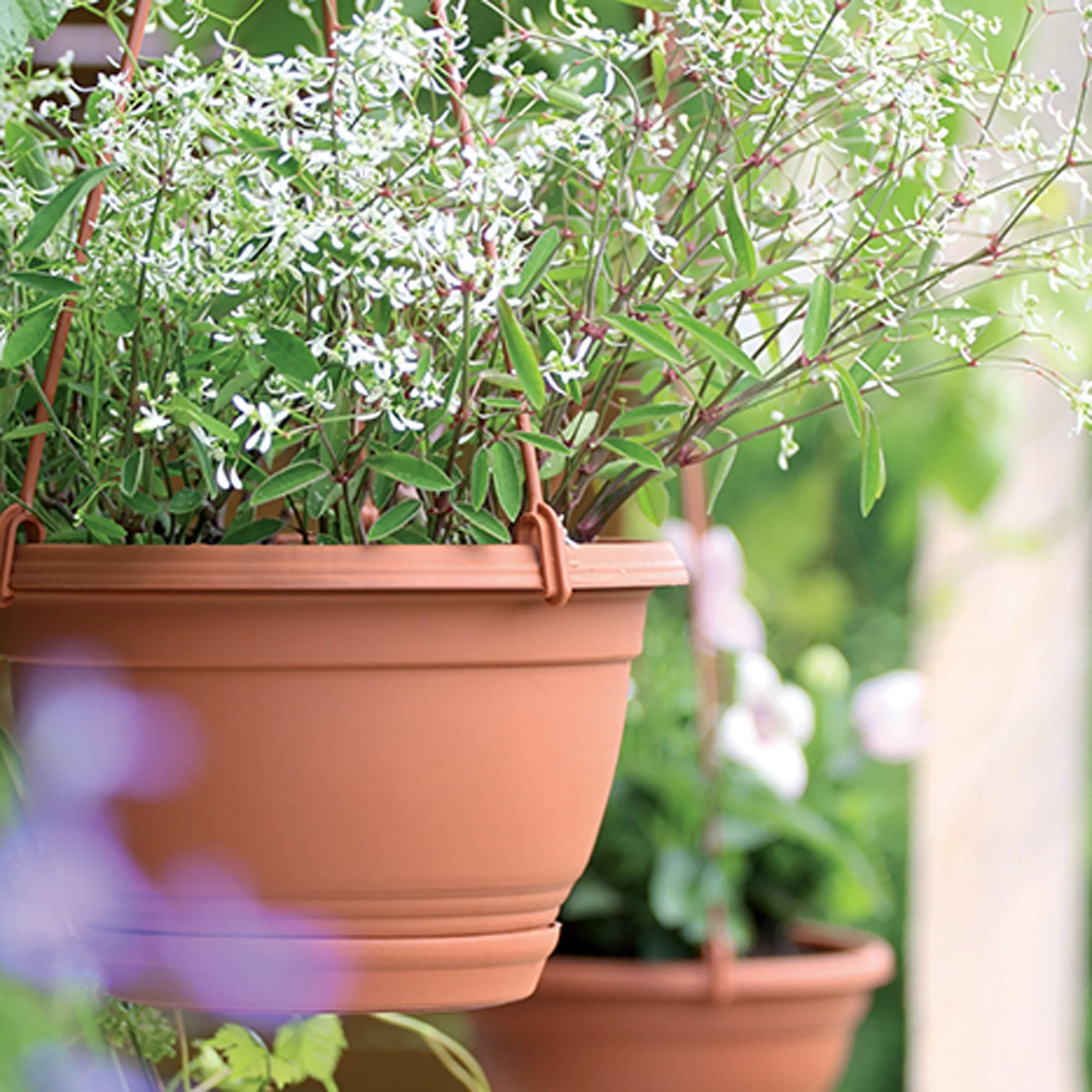 Imagem do produto 2