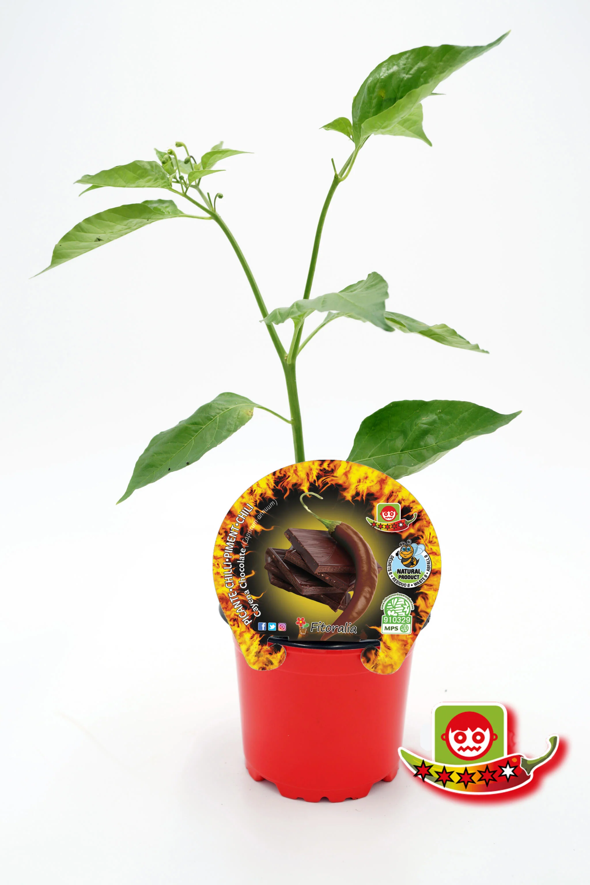 Imagem do produto 1