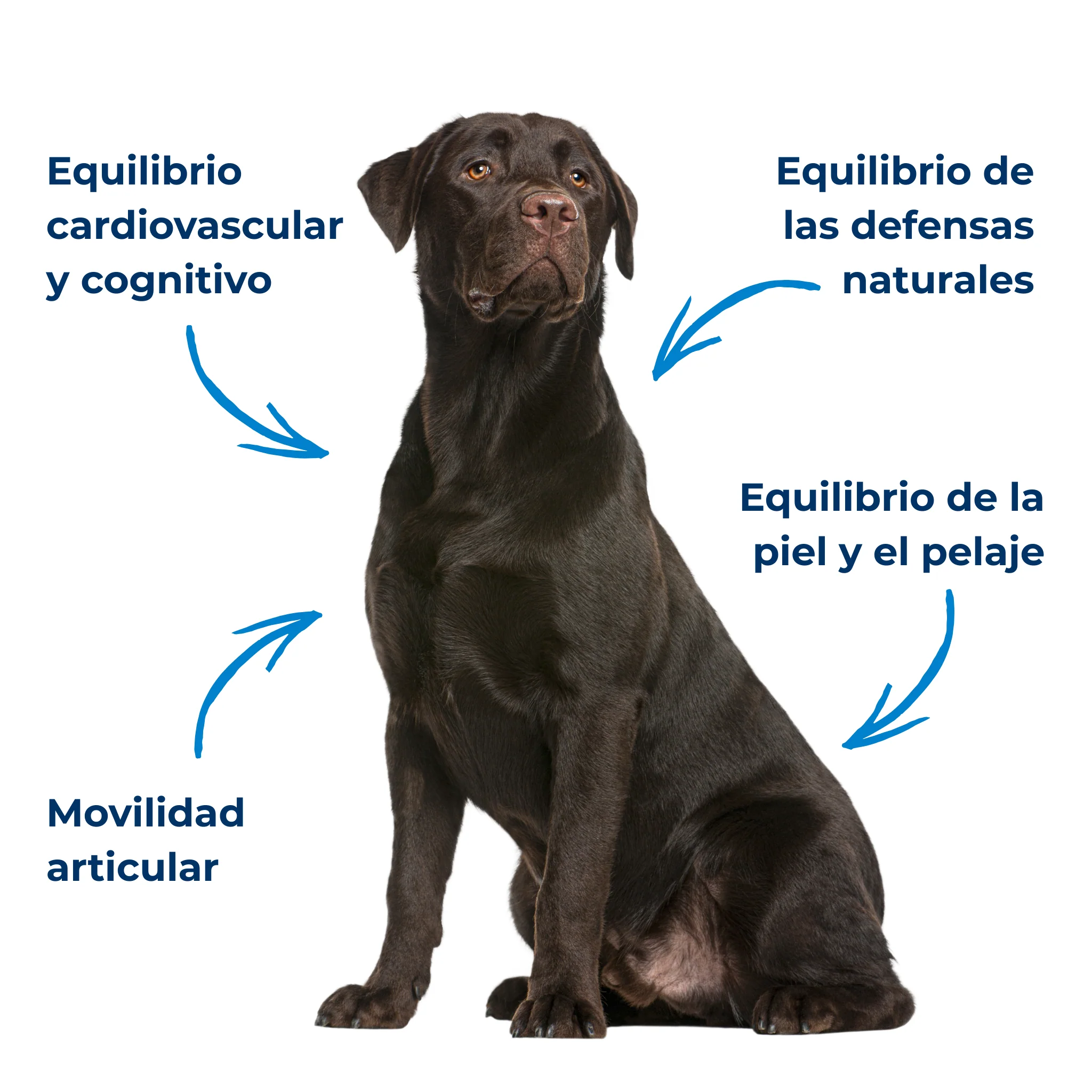 Imagem do produto 3