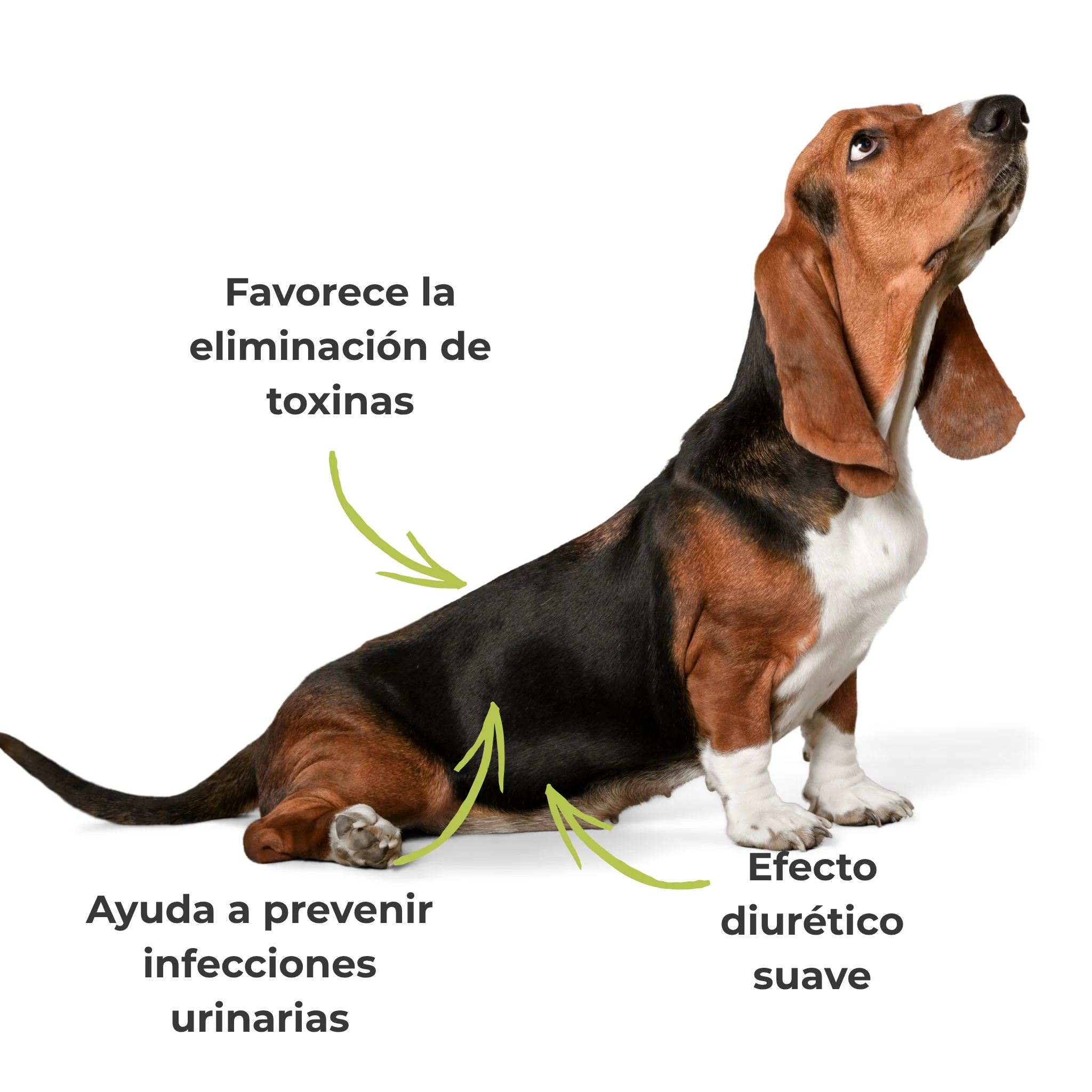 Imagem do produto 4