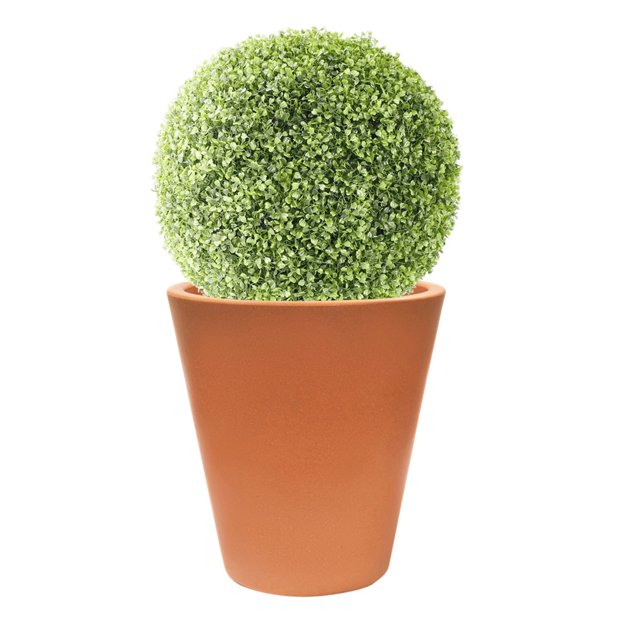 Imagem do produto 3