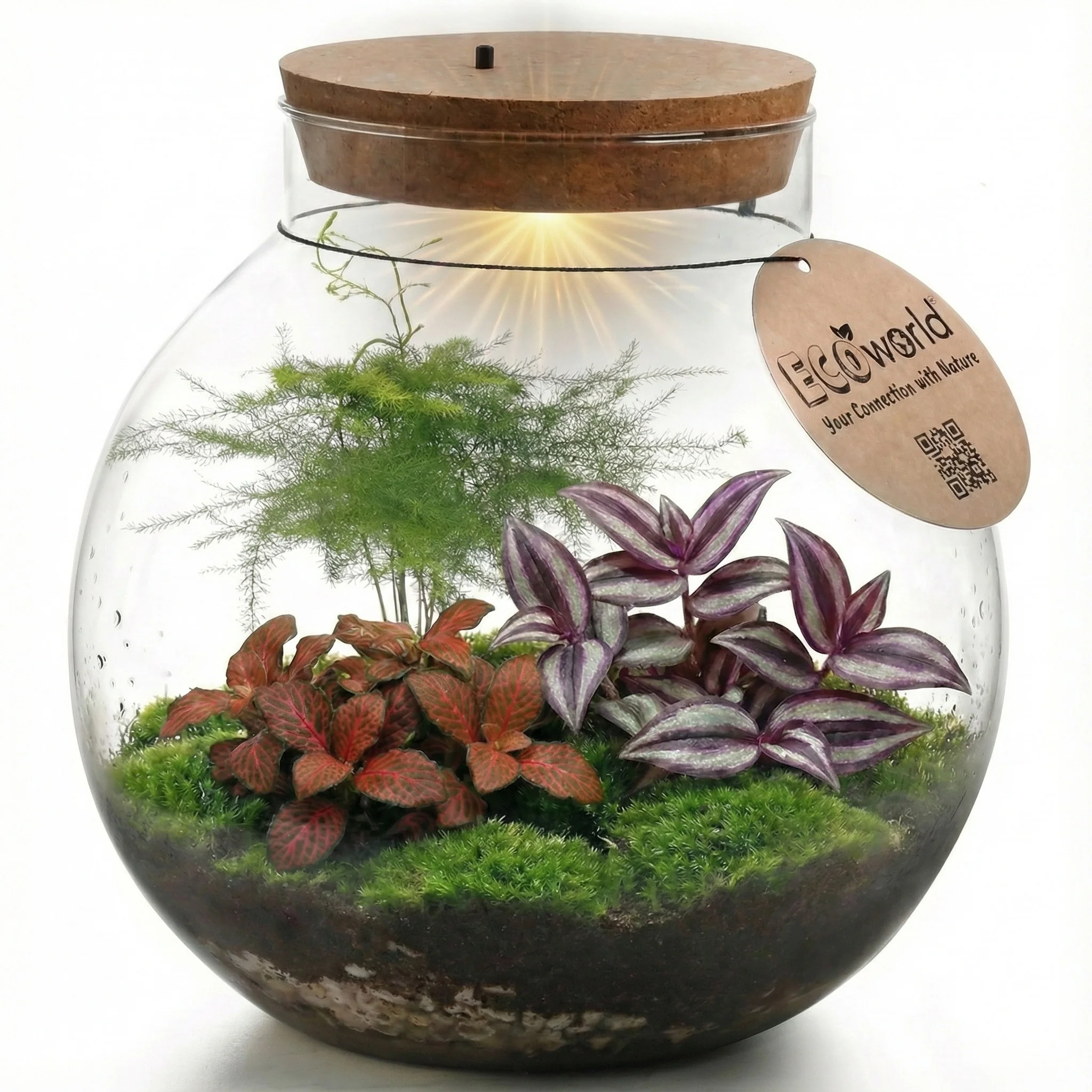 Imagem do produto 1