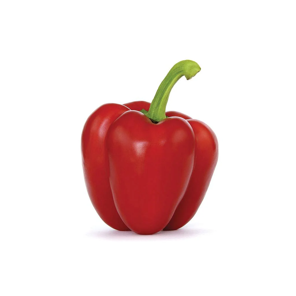 Imagem do produto 1